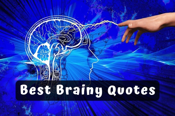Best Brainy Quotes