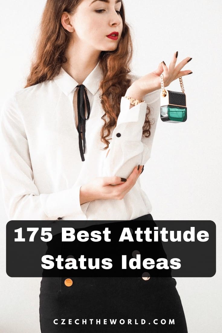 375 Best Attitude Status Ideas To Copy Paste 22