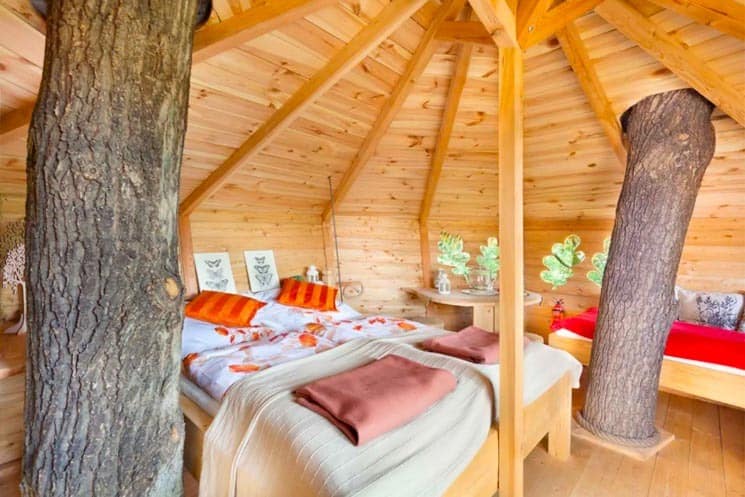 Treehouse Tři Duby - Glamping Česko