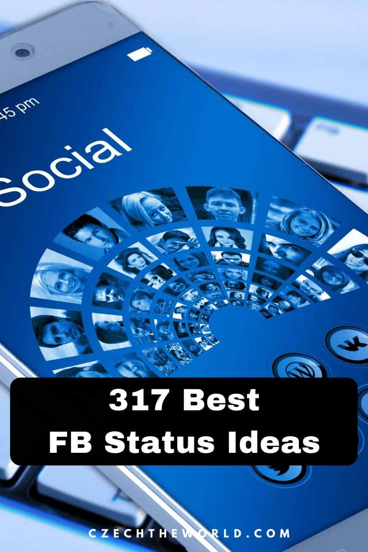 317 Best FB Status Ideas