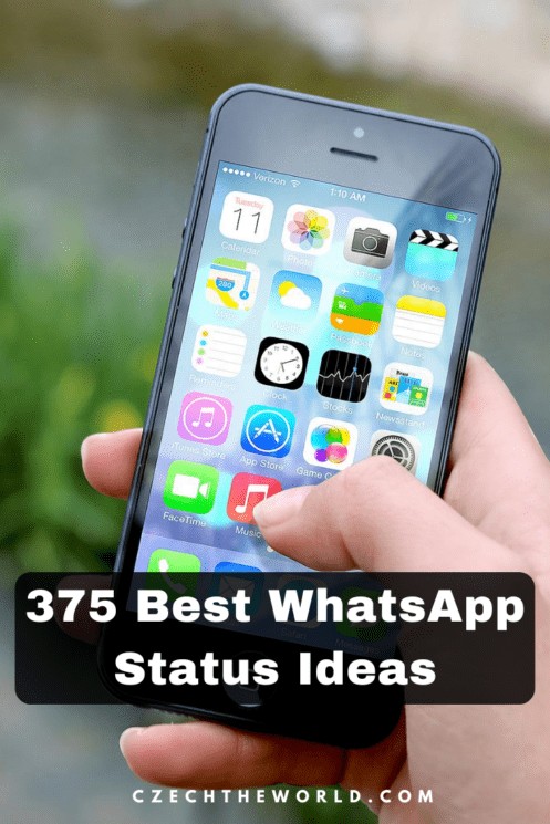 375 Best WhatsApp Status Ideas and Quotes (to Copy & Paste)