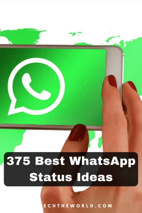 375 Best WhatsApp Status Ideas and Quotes (to Copy & Paste)