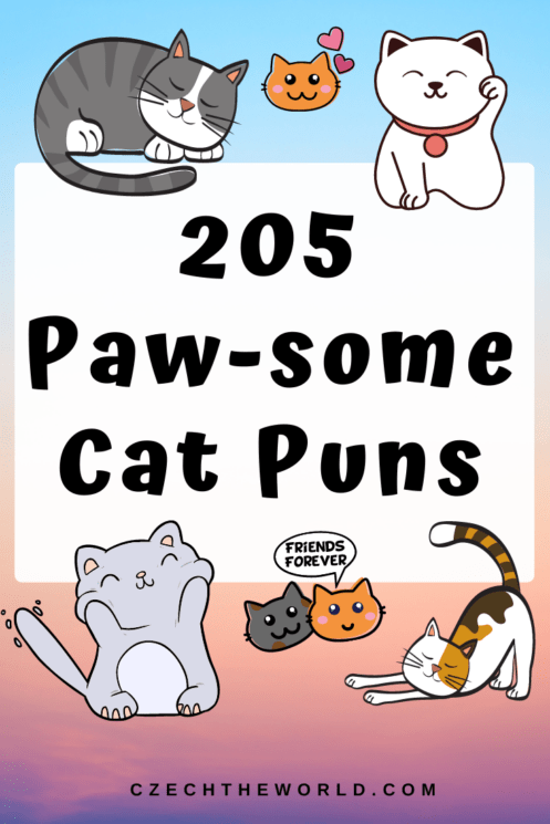 205 Best Cat Puns And Jokes That Are Simply Paw-some!