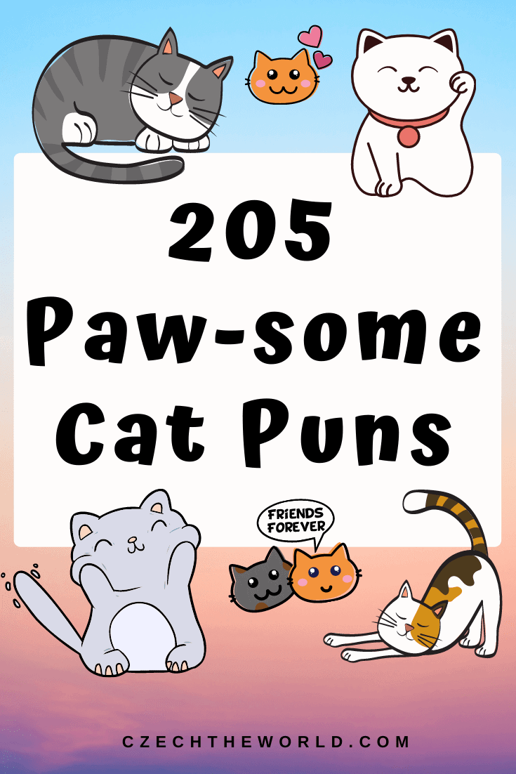 205 Best Cat Puns and Jokes That Are Simply Paw-some!