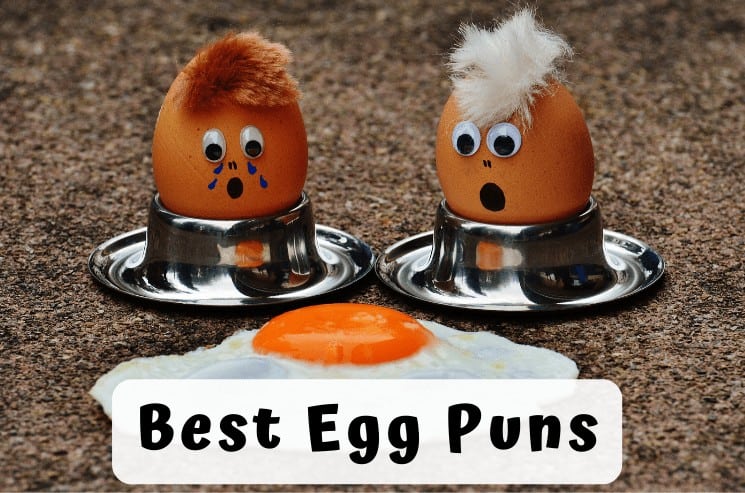 Best Egg Puns