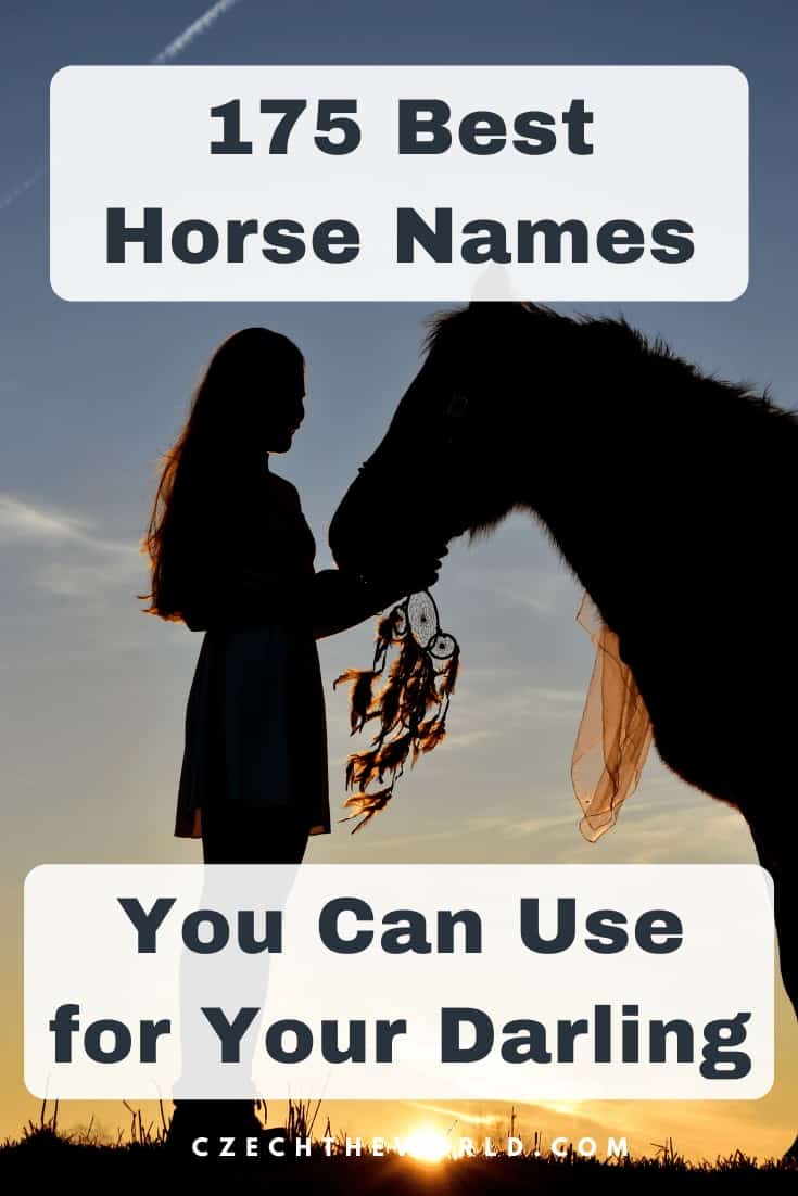 Best Names for Horses