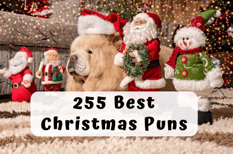 255 Best Christmas Puns that are Tree-mendous