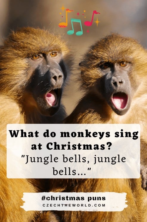 Aminal Christmas Puns