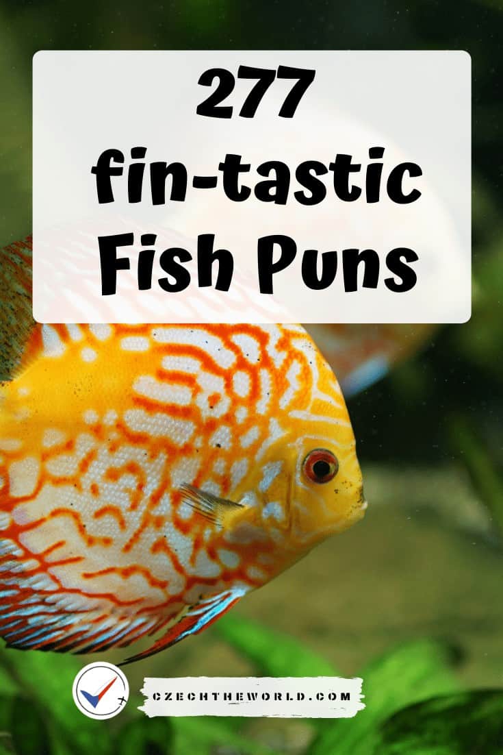 277 fin-tastic Fish Puns