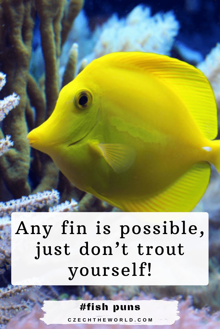 Fin Fish Puns