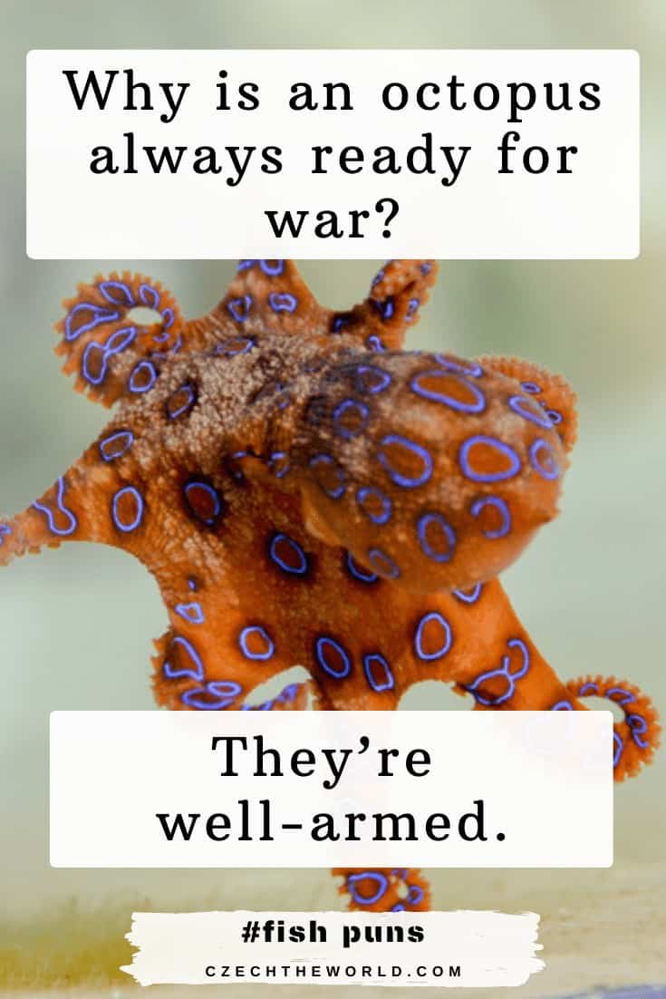 Octopus Puns and Jokes