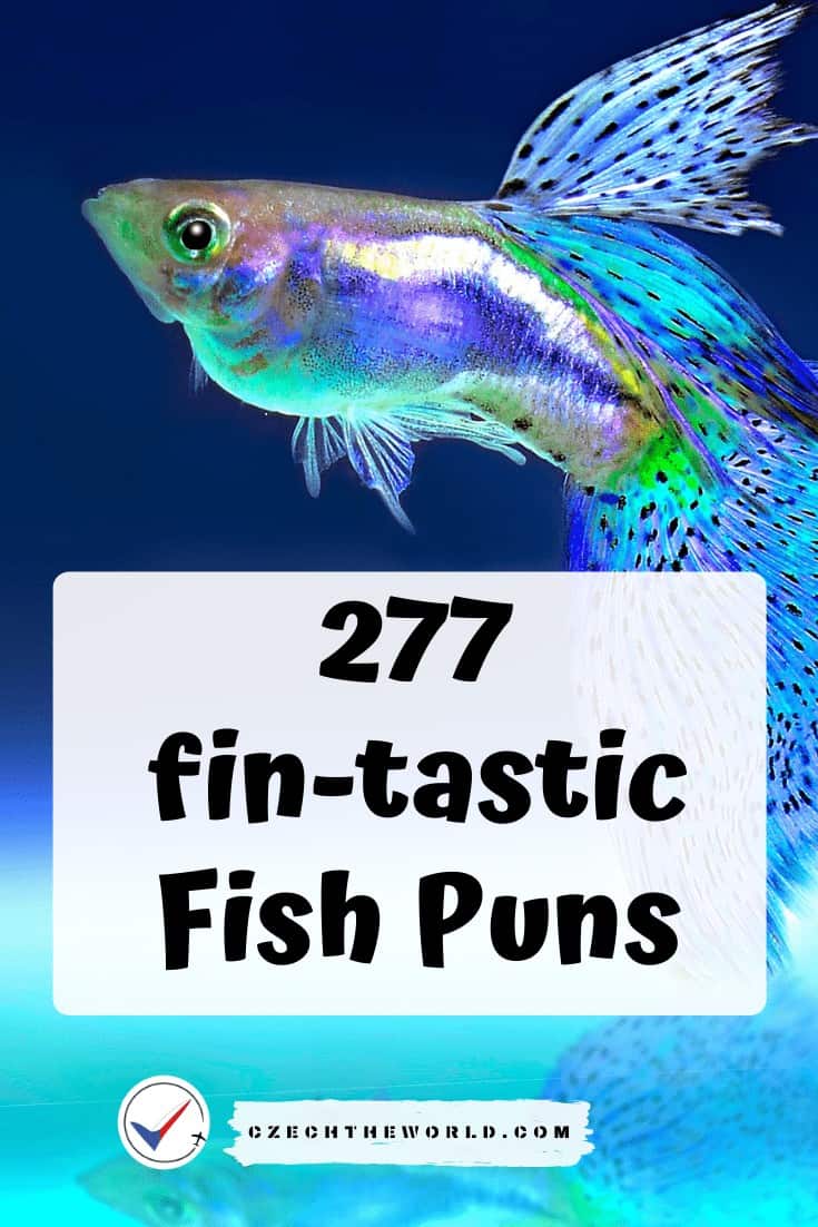 277 fin-tastic Fish Puns