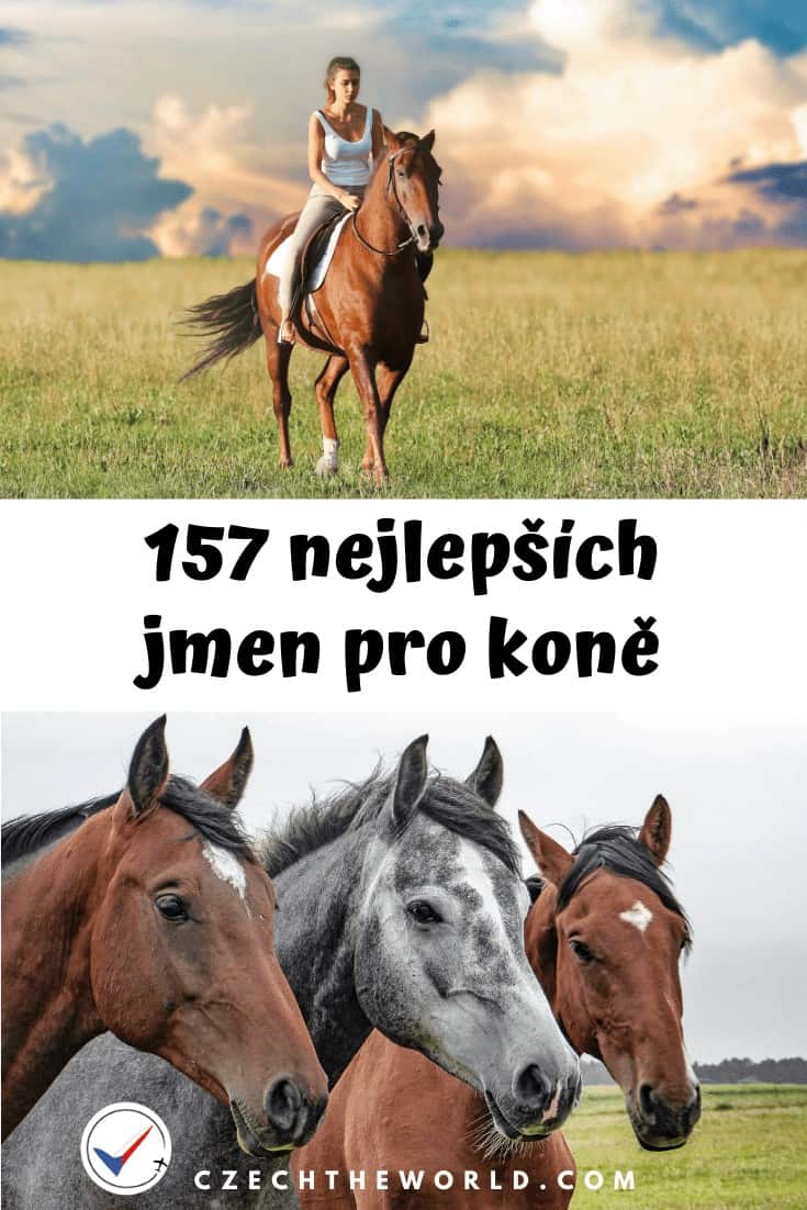 Jména pro koně + koňský kalendář
