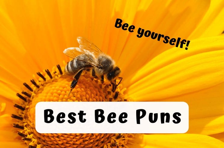 153 Best Bee Puns That Are Un-bee-lievably Bee-autiful!