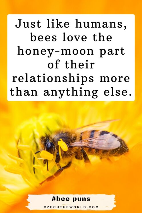 bee puns valentines day