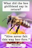 153 Best Bee Puns That Are Un-bee-lievably Bee-autiful!