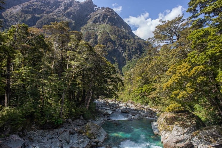 Routeburn Track start - Dart River