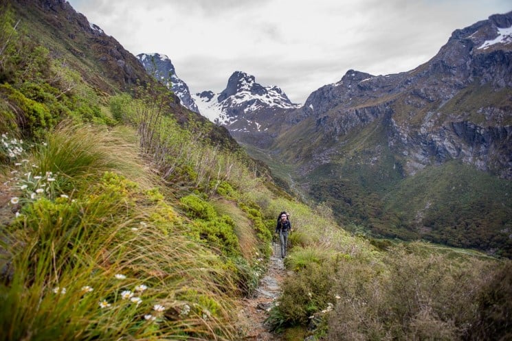 Routeburn track - section to from Lake Mackenzie to the Divide