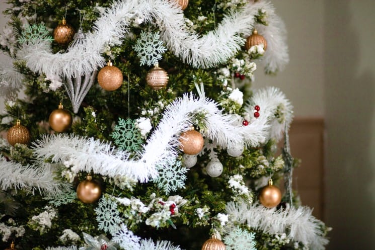 Vánoční tradice a zvyky 
