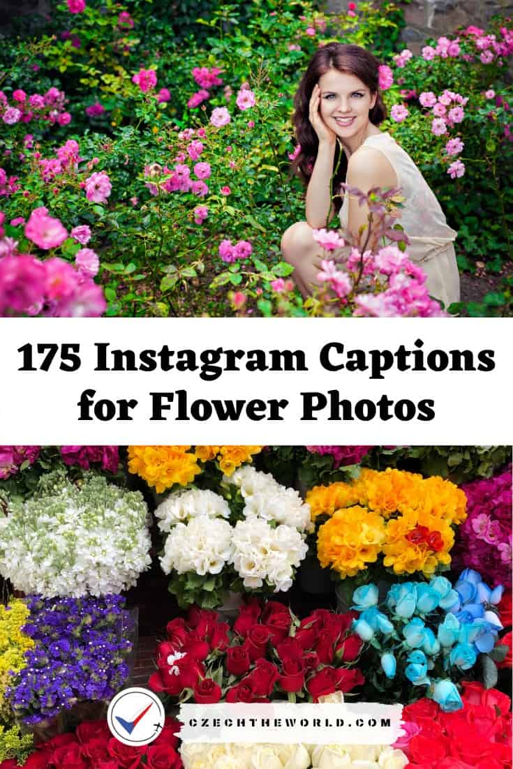 A Caption For Flowers at Phillip Johnson blog