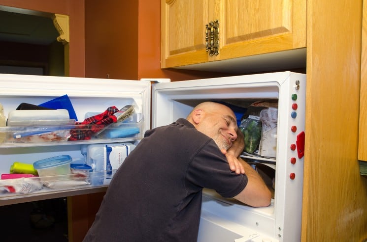 241543903 Heads in Freezers - Strangest Google Search Result