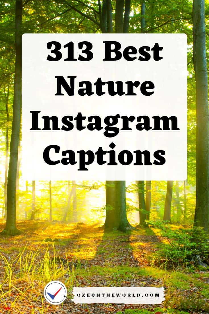 313 Instagram Captions for Nature Photos (2)