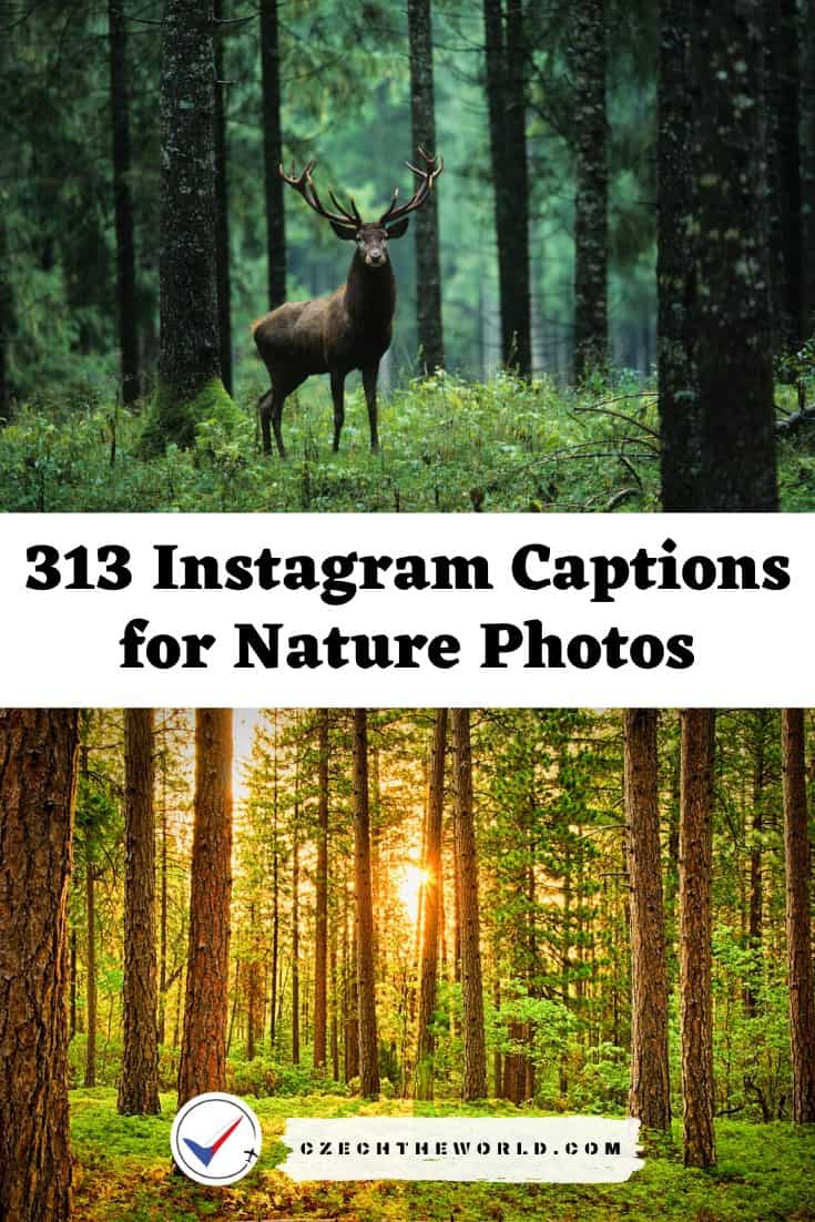 313 Instagram Captions for Nature Photos (2)