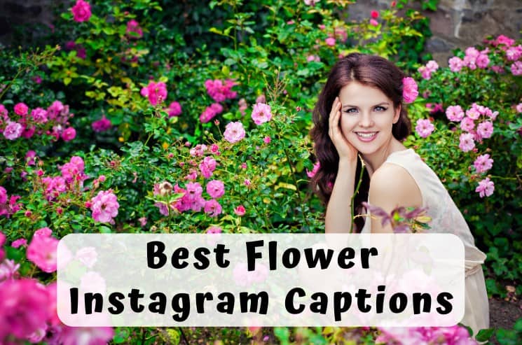 ▷ 375 Best Instagram Captions for Flower Photos (to Copy)