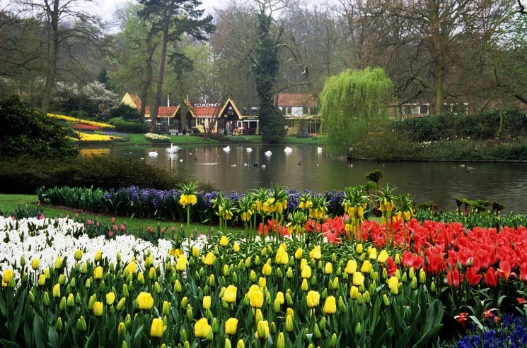 Best Romantic Places in The Netherlands
