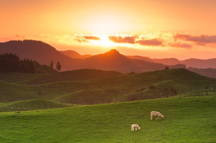 Romantic Farm Names