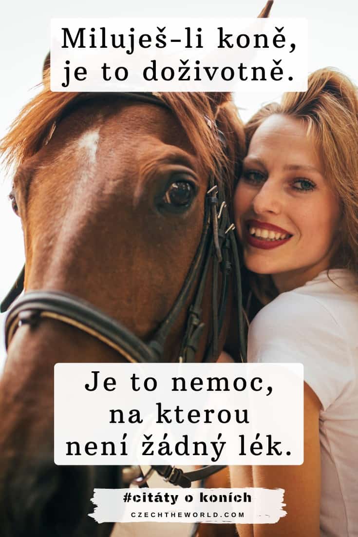 Citáty o lásce ke koním