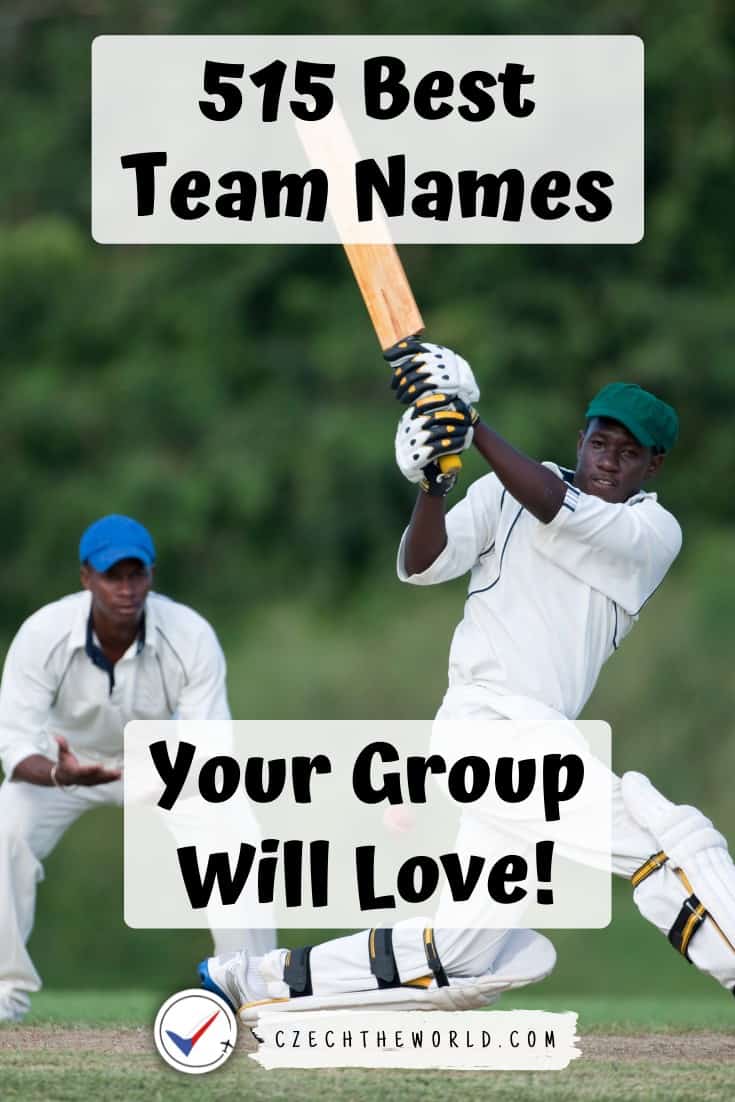 Cricket Team Names