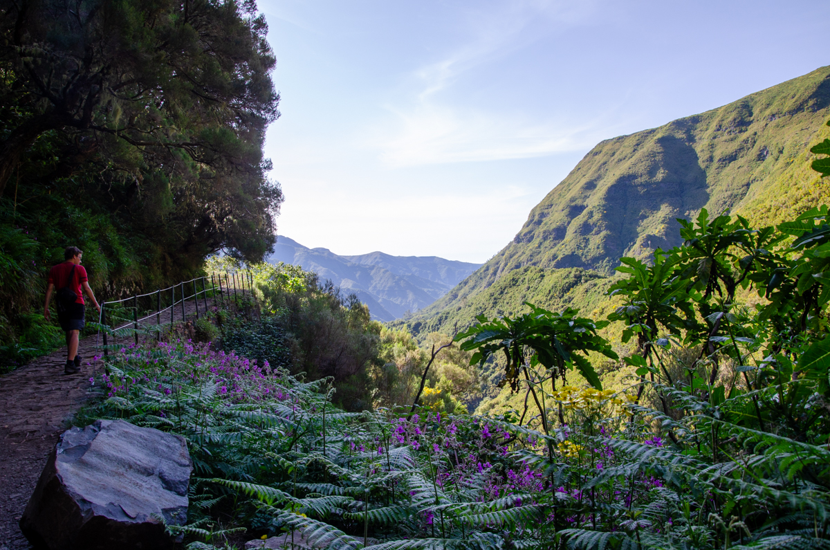 Madeira: 37 úžasných míst, která musíte vidět! + mapa (2025)