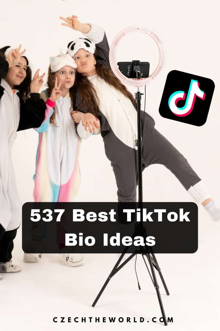 TikTok Bio Ideas with Emoji for Girls