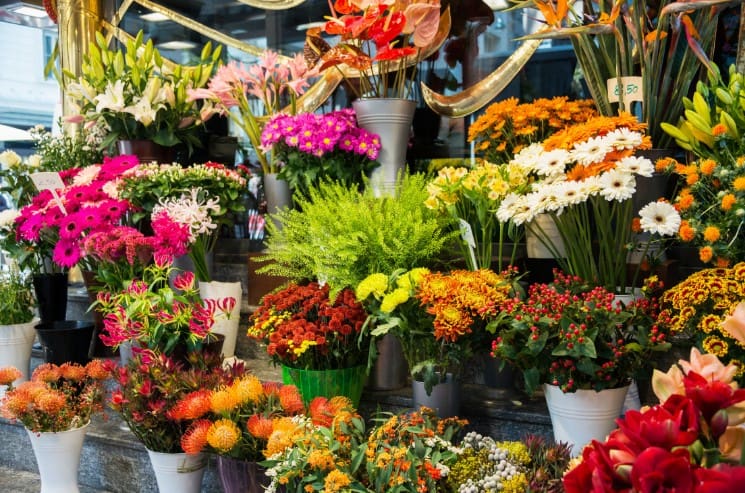 Trendy Flower Shop and Florist Names