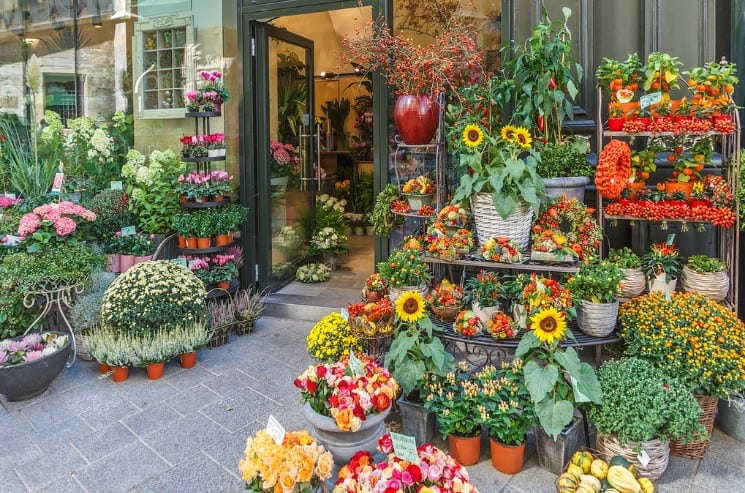 Catchy Flower Shop and Florist Names