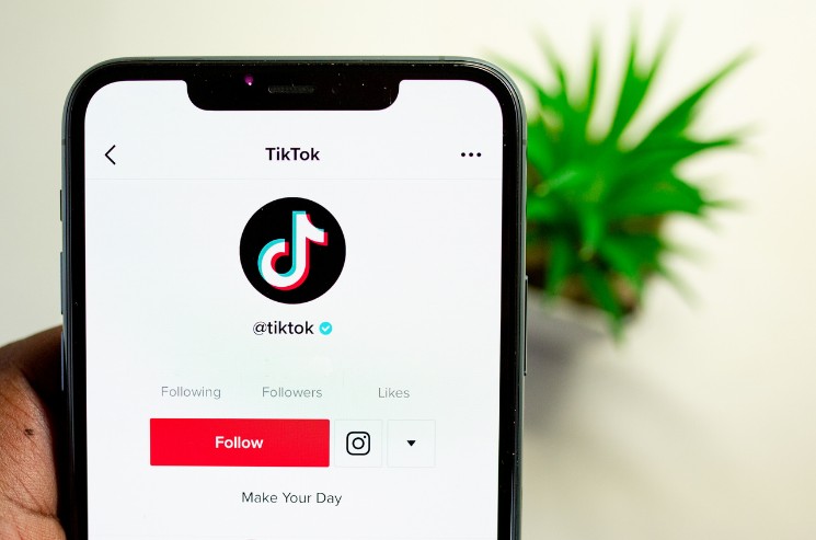 735 Best TikTok Usernames That Absolutely Stand Out 1