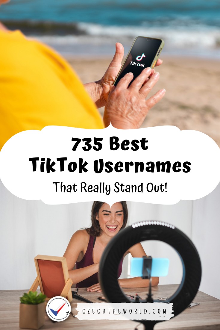 TikTok usernames