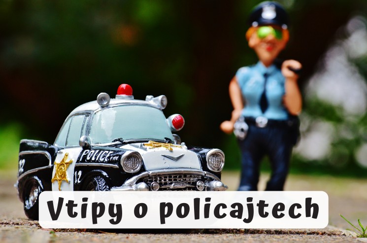 Policejní vtipy o policajtech