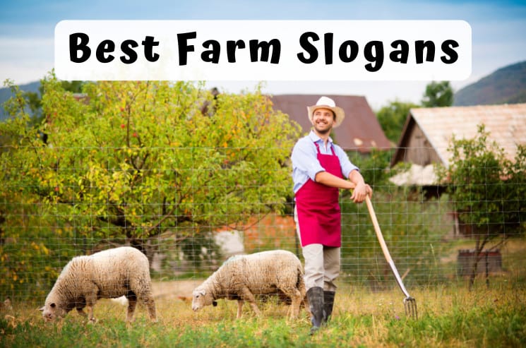 Best Farm Slogans
