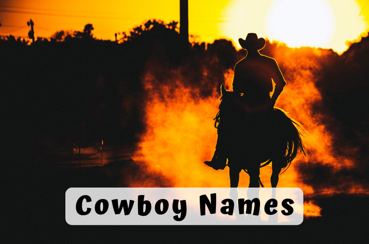 395 Best Cowboy Names (That You Will Absolutely Love)