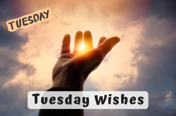 Tuesday Wishes