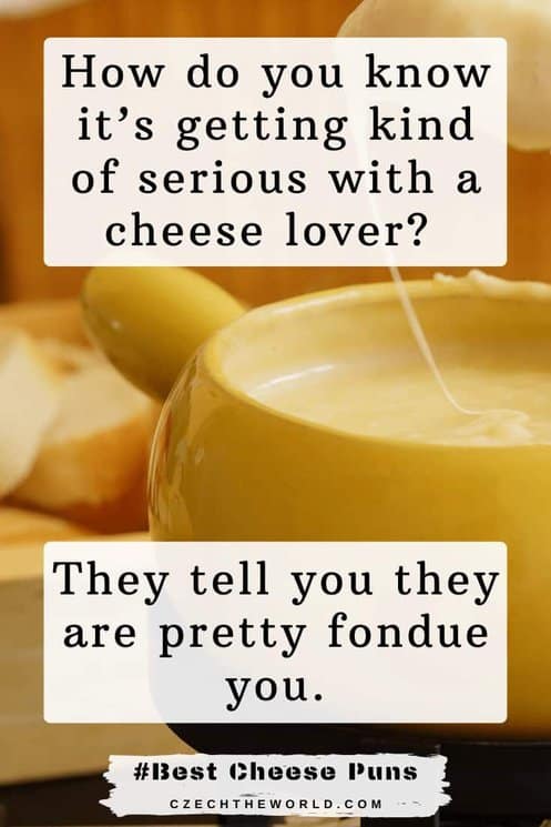 153 Best Cheese Puns That Are Simply Brie-lliantly Funny 2