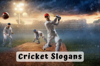 379 Best Cricket Slogans (to Boost Your Team Success)