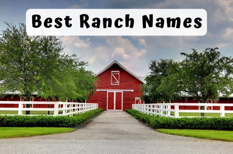 Best Ranch Names