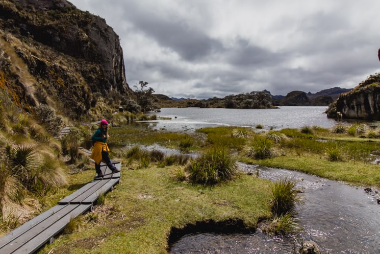 Hiking in Cajas National Park: Which Treks Are the Best?