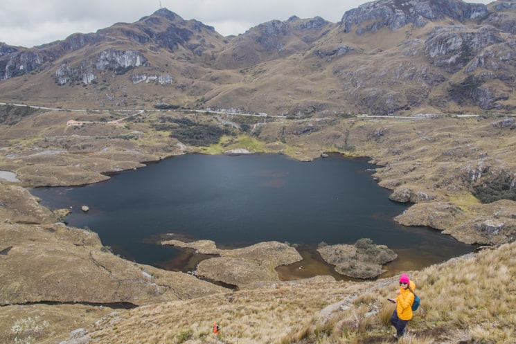 Hiking in Cajas National Park: Which Treks Are the Best? 16