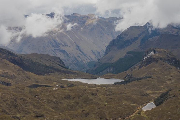 Hiking in Cajas National Park: Which Treks Are the Best? 17