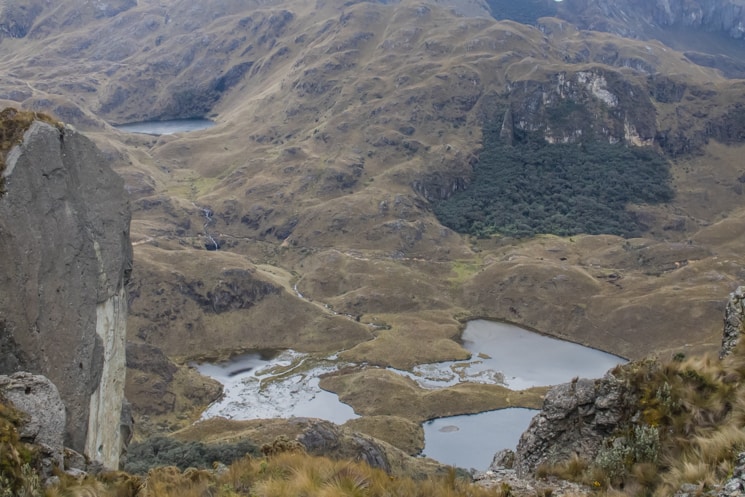 Hiking in Cajas National Park: Which Treks Are the Best?