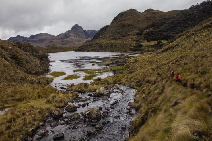 Hiking in Cajas National Park: Which Treks Are the Best? 21